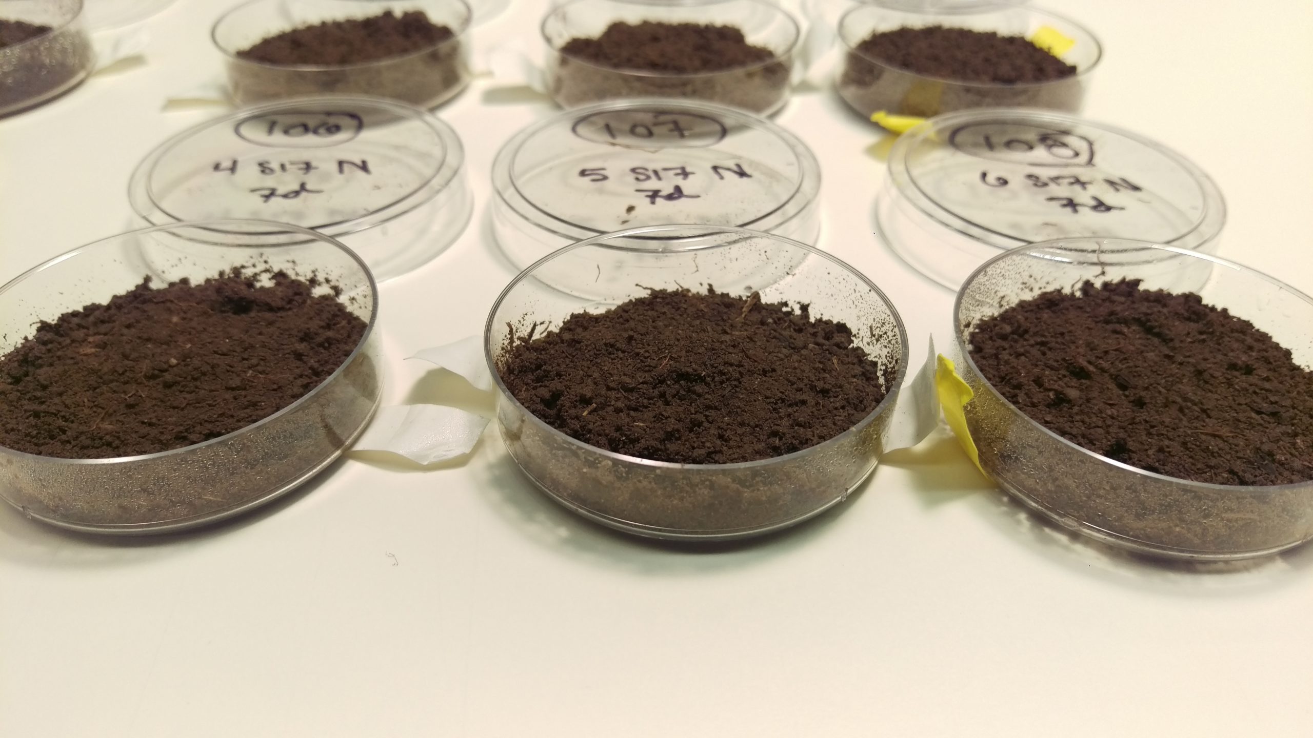 Image of soil microcosm