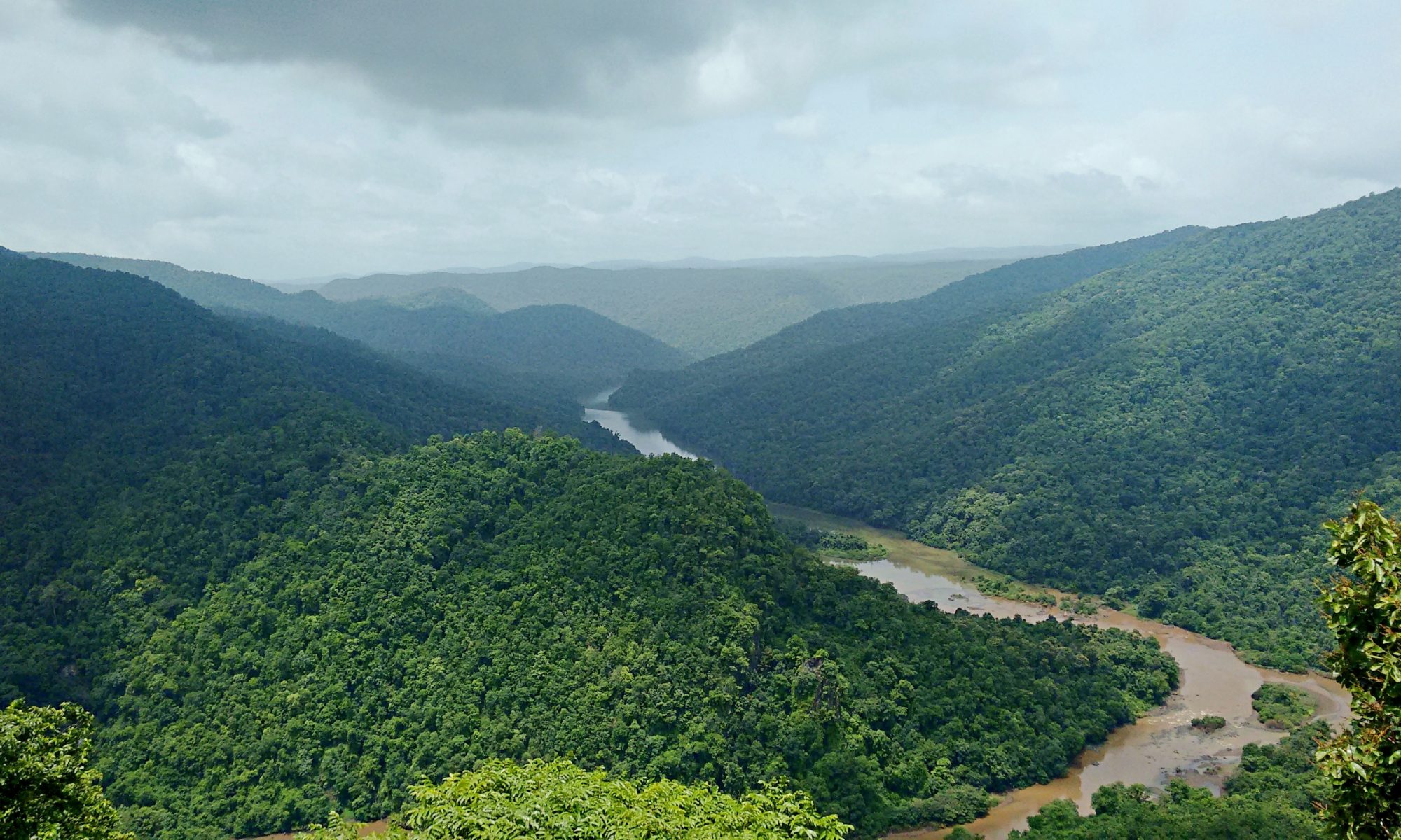 Dandeli river, Karnataka, India