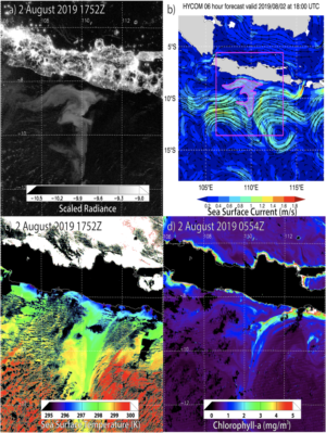 Processed satellite images showing a milky sea event in Java, 2019.